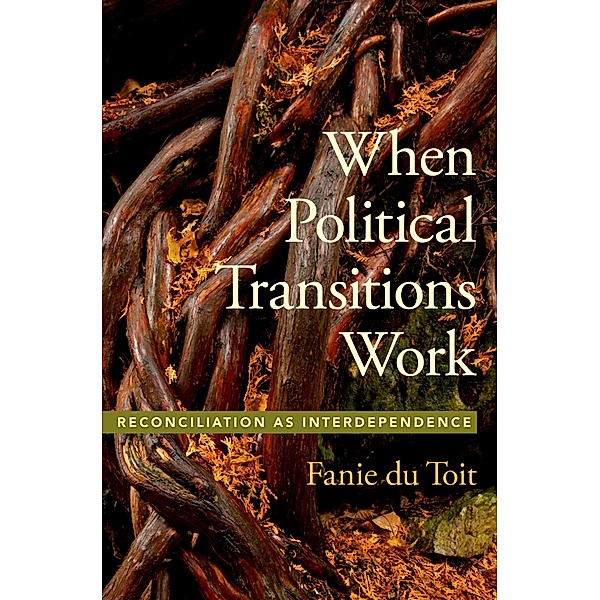 When Political Transitions Work, Fanie Du Toit