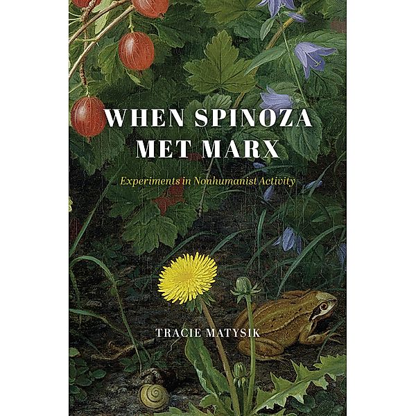 When Spinoza Met Marx, Matysik Tracie Matysik