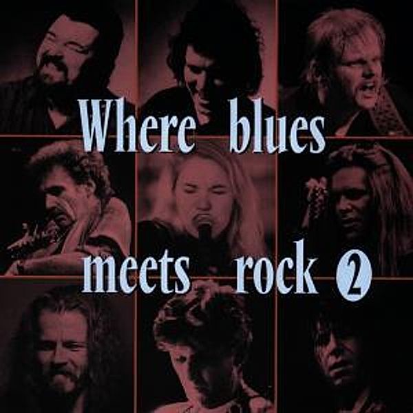 Where Blues Meets Rock Vol.2, Diverse Interpreten