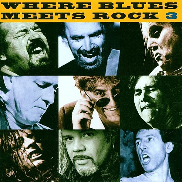 Where Blues Meets Rock Vol.3, Diverse Interpreten