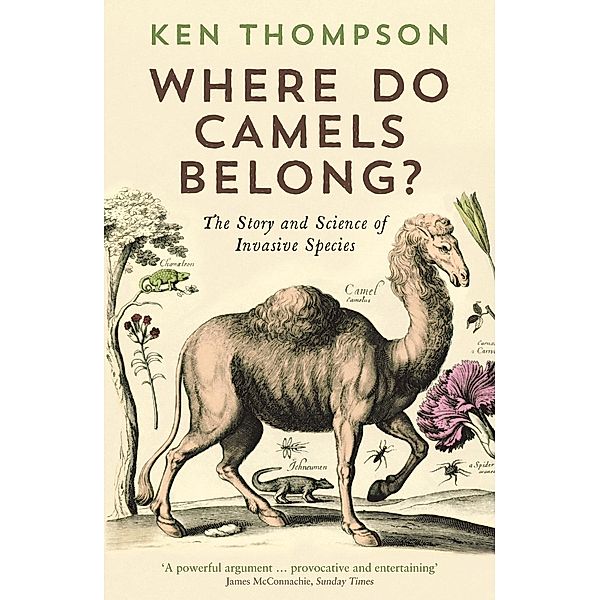 Where Do Camels Belong?, Ken Thompson