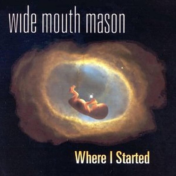 Where I Started (Vinyl), Wide Mouth Mason