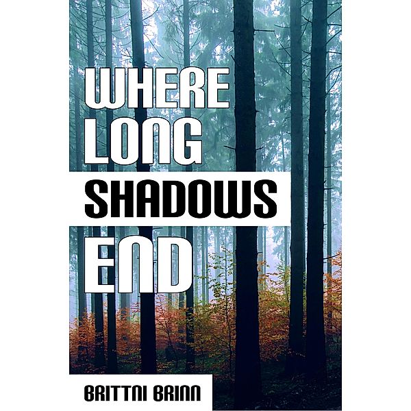 Where Long Shadows End (The Patch Project, #3) / The Patch Project, Brittni Brinn