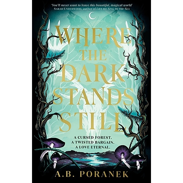 Where the Dark Stands Still, A.B. Poranek