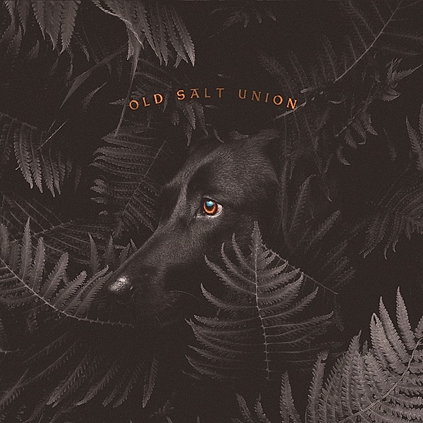 Where The Dogs Don'T Bite, Old Salt Union