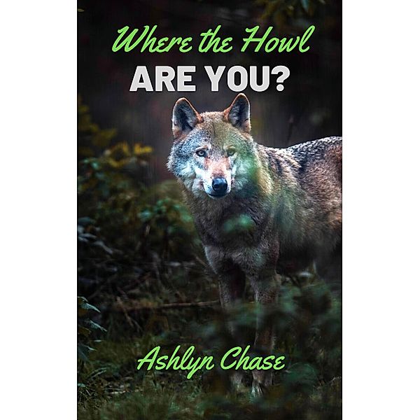 Where The Howl Are You? (Be Careful What You Summon, #3) / Be Careful What You Summon, Ashlyn Chase