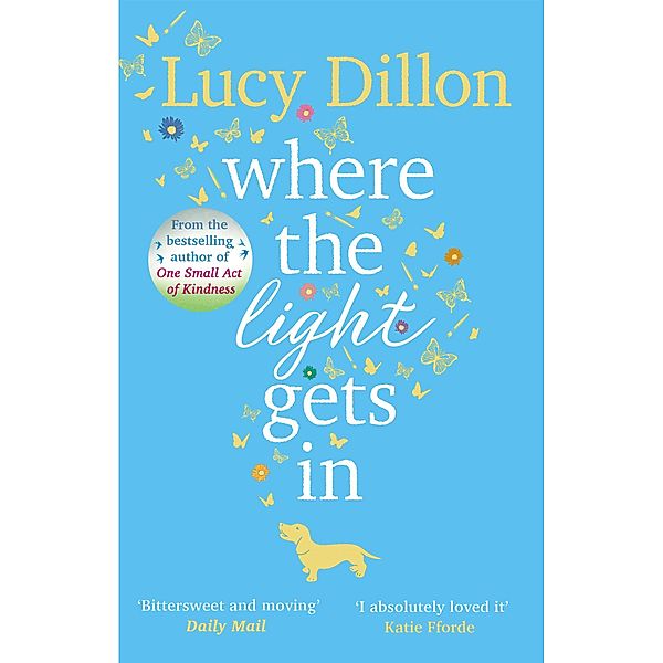 Where The Light Gets In, Lucy Dillon