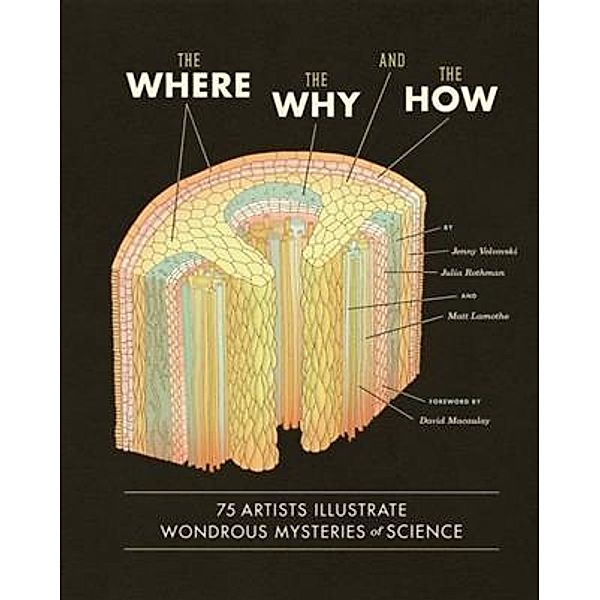 Where, the Why, and the How, Matt Lamothe