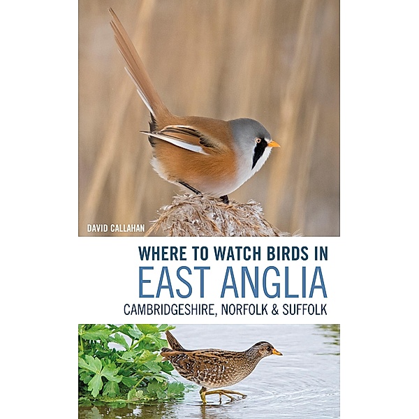 Where to Watch Birds in East Anglia, David Callahan