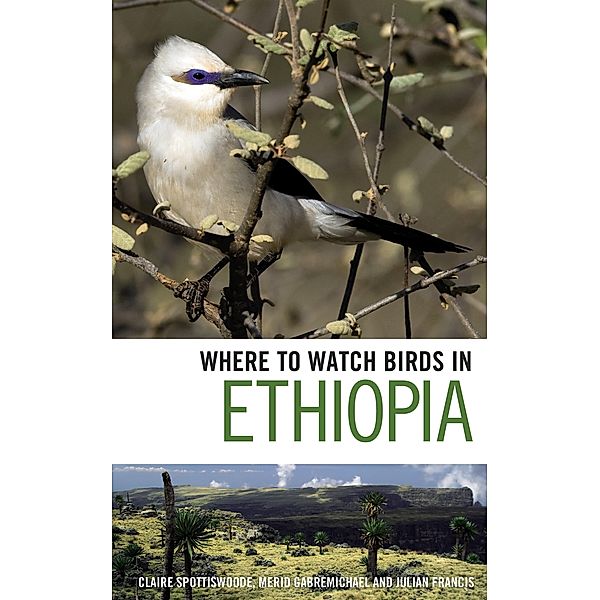 Where to Watch Birds in Ethiopia, Claire Spottiswoode, Merid Gabremichael, Julian Francis