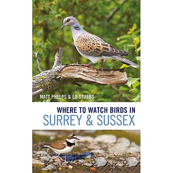 Where to Watch Birds in Surrey and Sussex, Matthew Phelps, Ed Stubbs