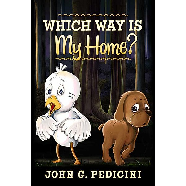 Which Way Is My Home?, John Pedicini