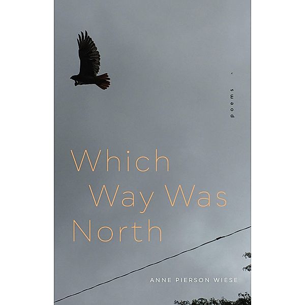 Which Way Was North, Anne Pierson Wiese