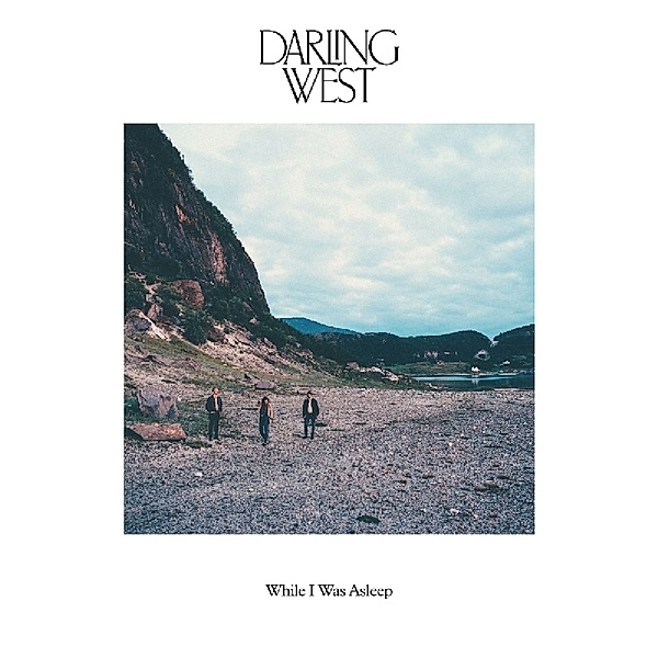 While I Was Asleep (Vinyl), Darling West