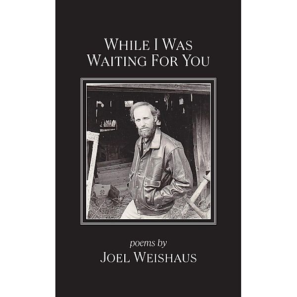 While I Was Waiting for You, Joel Weishaus