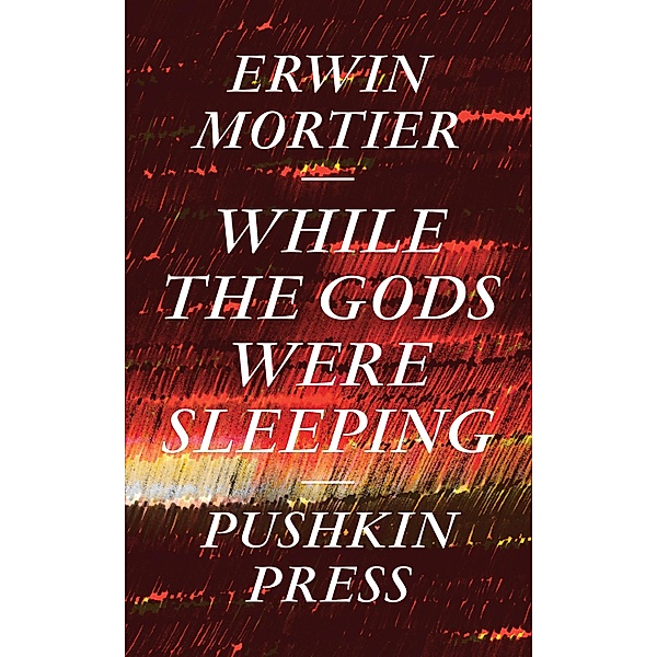 While the Gods Were Sleeping, Erwin Mortier
