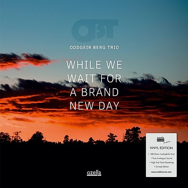 While We Wait For A Brand New Day (180 Gramm Vinyl, Oddgeir Berg Trio