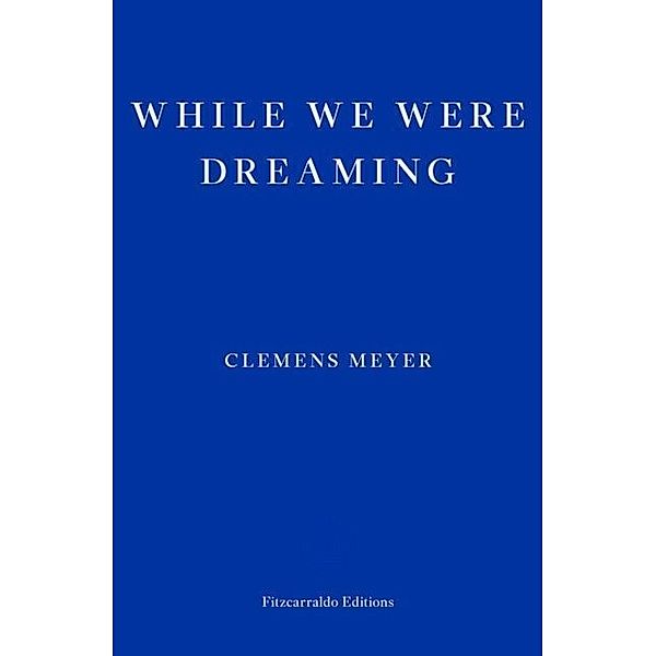 While We Were Dreaming, Clemens Meyer