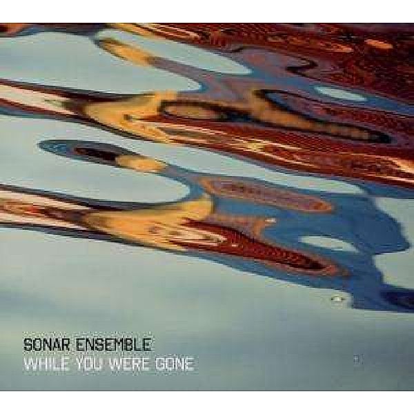 While You Were Gone, Sonar Ensemble