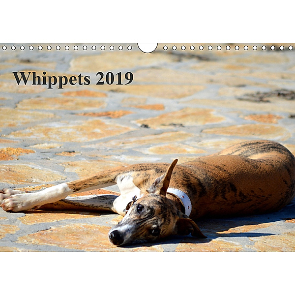 Whippet 2019AT-Version (Wandkalender 2019 DIN A4 quer), Ula Redl