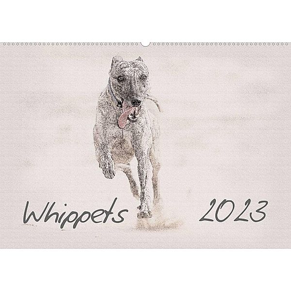 Whippet 2023 (Wandkalender 2023 DIN A2 quer), Andrea Redecker