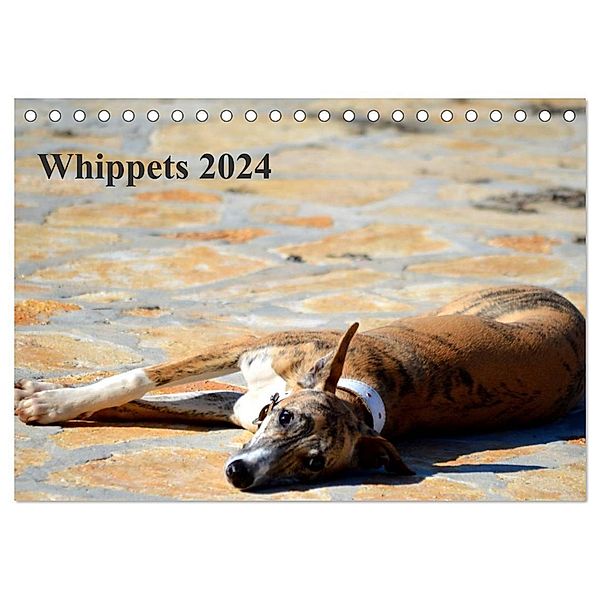 Whippet 2024 (Tischkalender 2024 DIN A5 quer), CALVENDO Monatskalender, Ula Redl