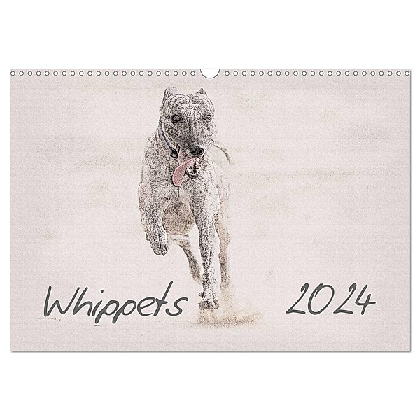 Whippet 2024 (Wandkalender 2024 DIN A3 quer), CALVENDO Monatskalender, Andrea Redecker