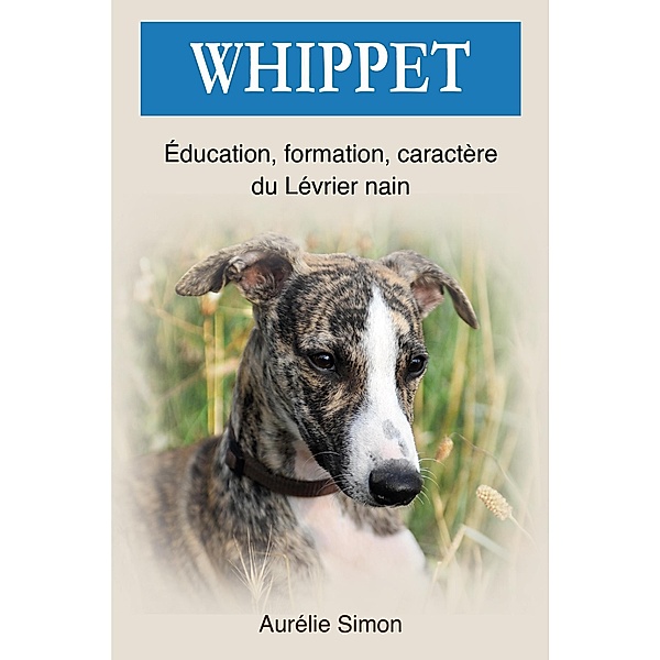 Whippet : Education, Formation, Caractère du Lévrier nain, Aurélie Simon