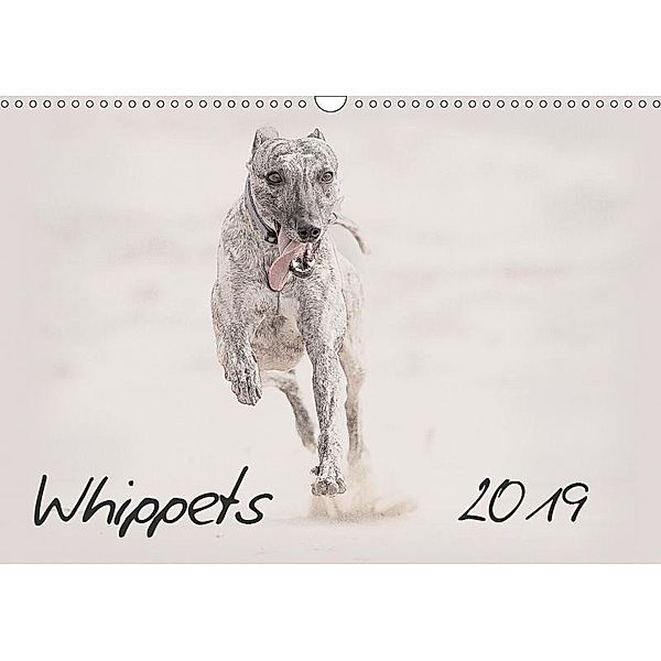 Whippets 2019 (Wall Calendar 2019 DIN A3 Landscape), Andrea Redecker