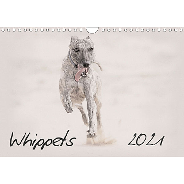 Whippets 2021 (Wall Calendar 2021 DIN A4 Landscape), Andrea Redecker