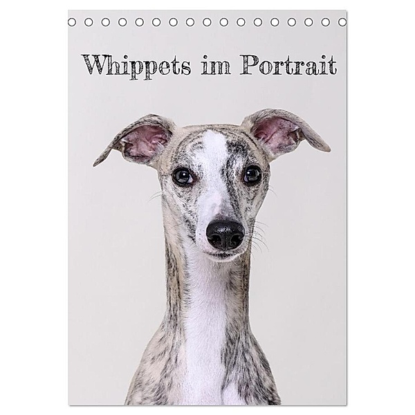 Whippets im Portrait (Tischkalender 2024 DIN A5 hoch), CALVENDO Monatskalender, Petra Hofmann