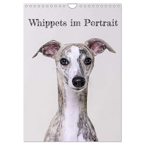 Whippets im Portrait (Wandkalender 2024 DIN A4 hoch), CALVENDO Monatskalender, Petra Hofmann