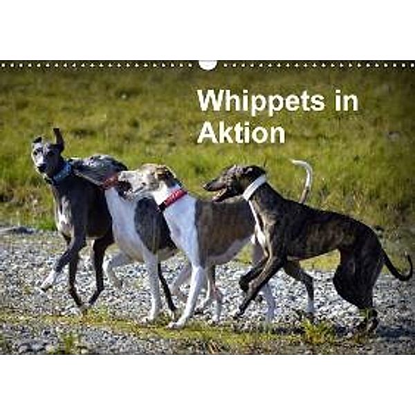 Whippets in AktionAT-Version (Wandkalender 2015 DIN A3 quer), Ula Redl