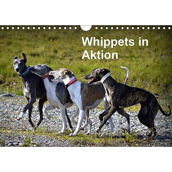 Whippets in AktionAT-Version (Wandkalender 2021 DIN A4 quer), Ula Redl