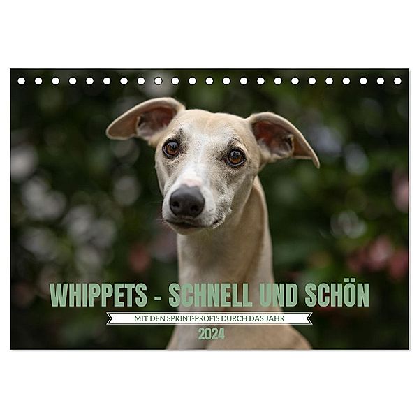 WHIPPETS - SCHNELL UND SCHÖN (Tischkalender 2024 DIN A5 quer), CALVENDO Monatskalender, Nicola Kassat Fotografie