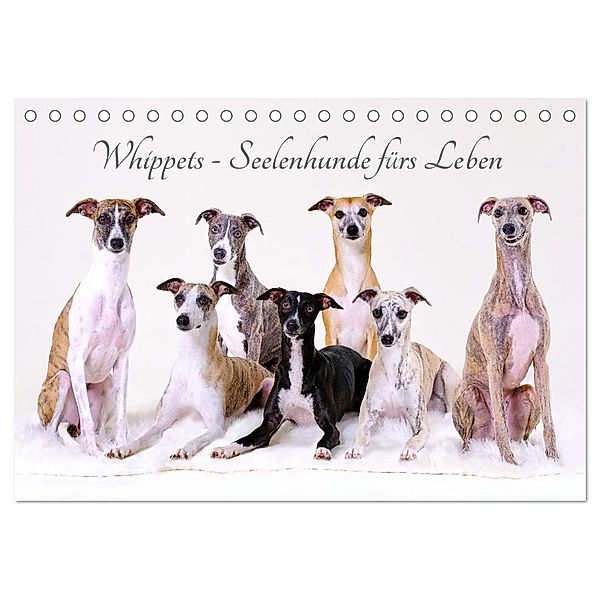 Whippets - Seelenhunde fürs Leben (Tischkalender 2025 DIN A5 quer), CALVENDO Monatskalender, Calvendo, Petra Hofmann