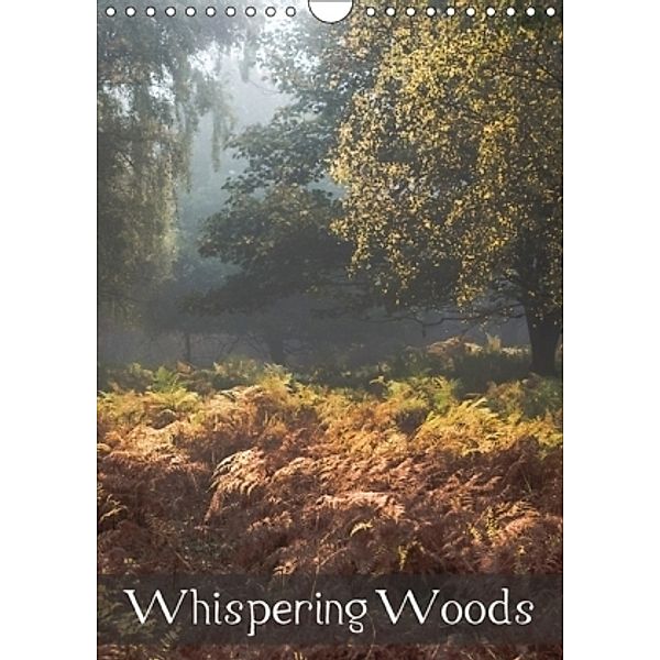 Whispering Woods (Wall Calendar 2017 DIN A4 Portrait), Kevin Mcguinness