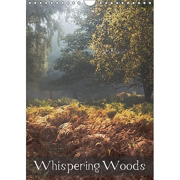 Whispering Woods (Wall Calendar 2018 DIN A4 Portrait), Kevin Mcguinness