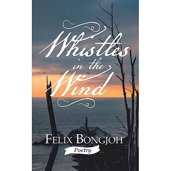 Whistles in the Wind, Felix Bongjoh