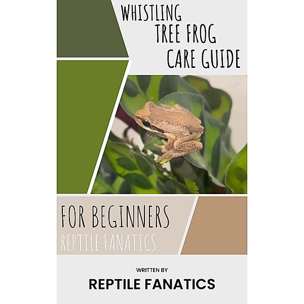 Whistling Tree Frog Care Guide for Beginners, Reptile Fanatics