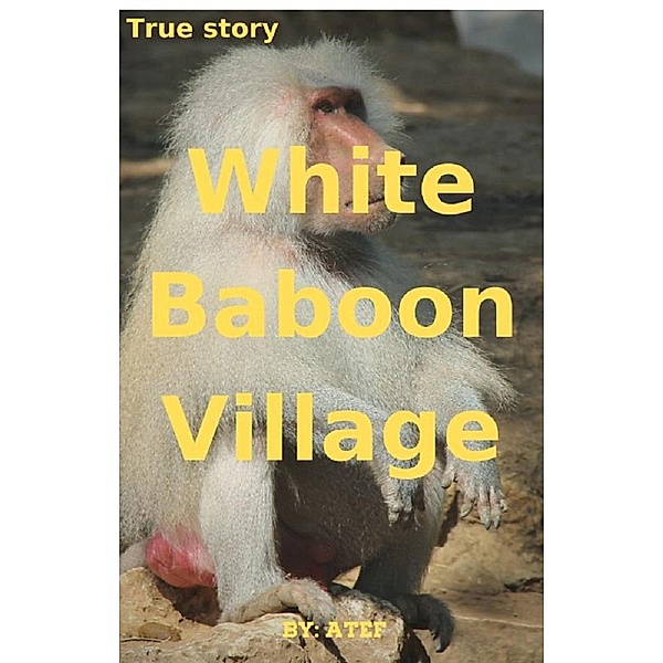 White Baboon Village (1) / 1, Atef Mohamed