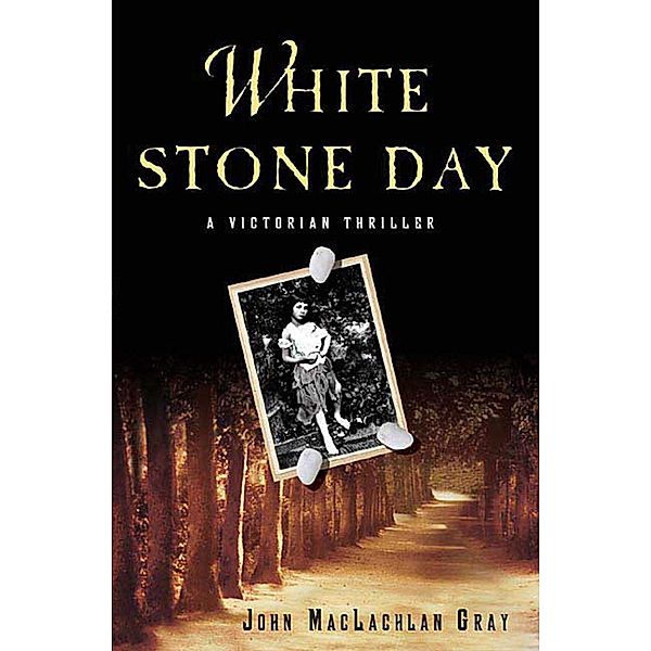 White Stone Day / Edmund Whitty Victorian Thrillers Bd.2, John MacLachlan Gray