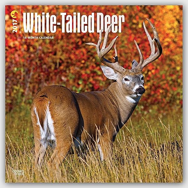 White-tailed Deer 2017, Inc Browntrout Publishers