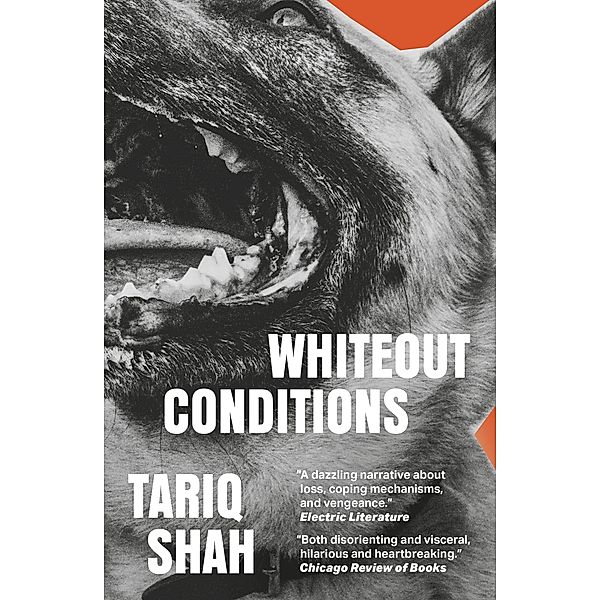 Whiteout Conditions / Dead Ink Books, Tariq Shah