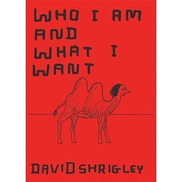 Who I Am and What I Want, David Shrigley