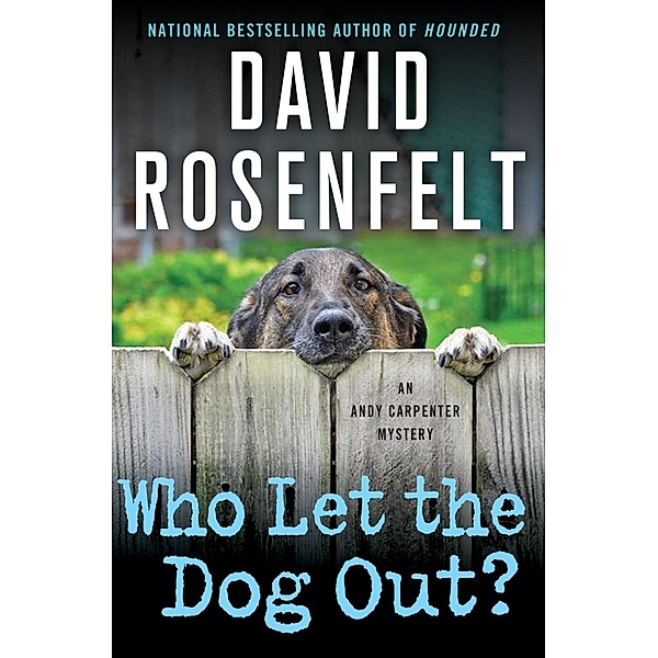 Who Let the Dog Out? / An Andy Carpenter Novel Bd.13, David Rosenfelt