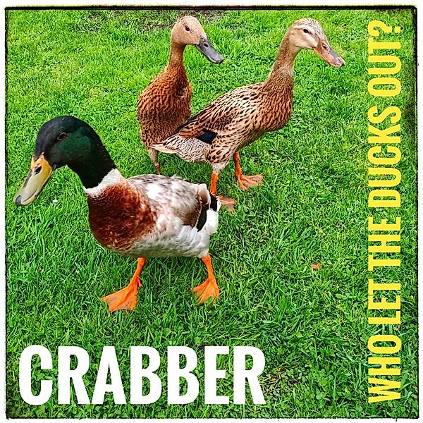 Who Let The Ducks Out?, Crabber