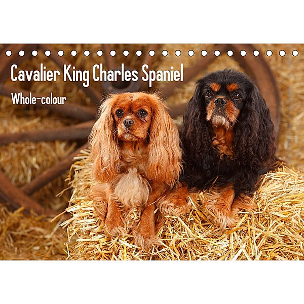 Whole-colour Cavalier King Charles Spaniel (Tischkalender 2023 DIN A5 quer), Petra Wegner