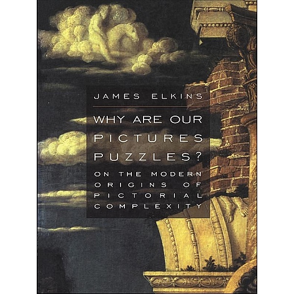 Why Are Our Pictures Puzzles?, James Elkins