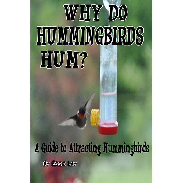 Why Do Hummingbirds Humm?, Eddie Lay